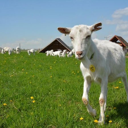 Farma Klinec Βίλα Εξωτερικό φωτογραφία