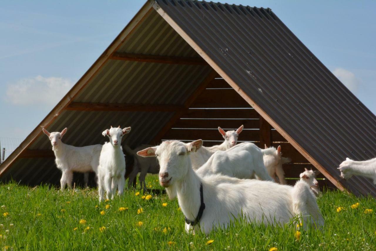 Farma Klinec Βίλα Εξωτερικό φωτογραφία